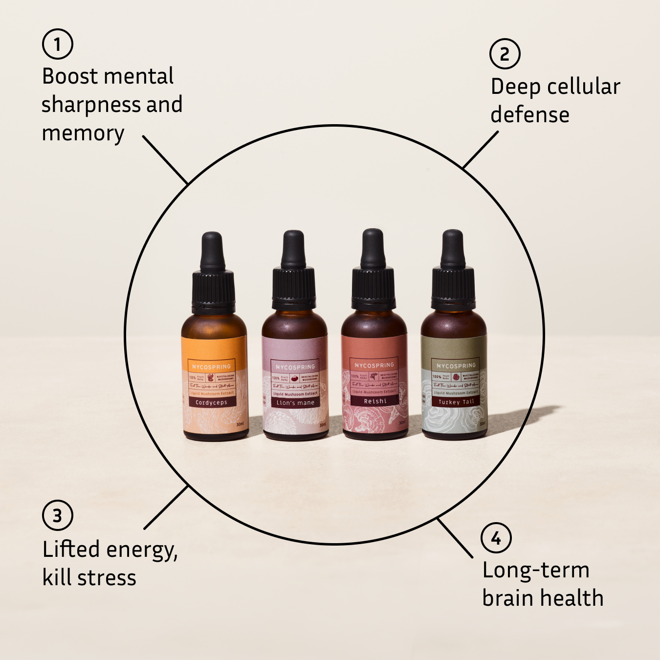 Mycospring Mushroom Extracts