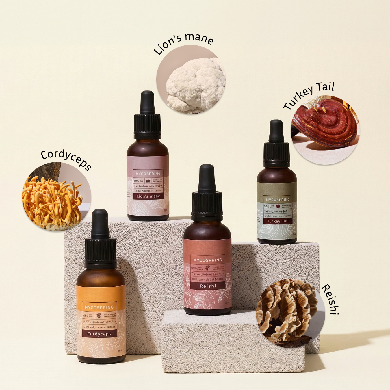 Mycospring Mushroom Extracts