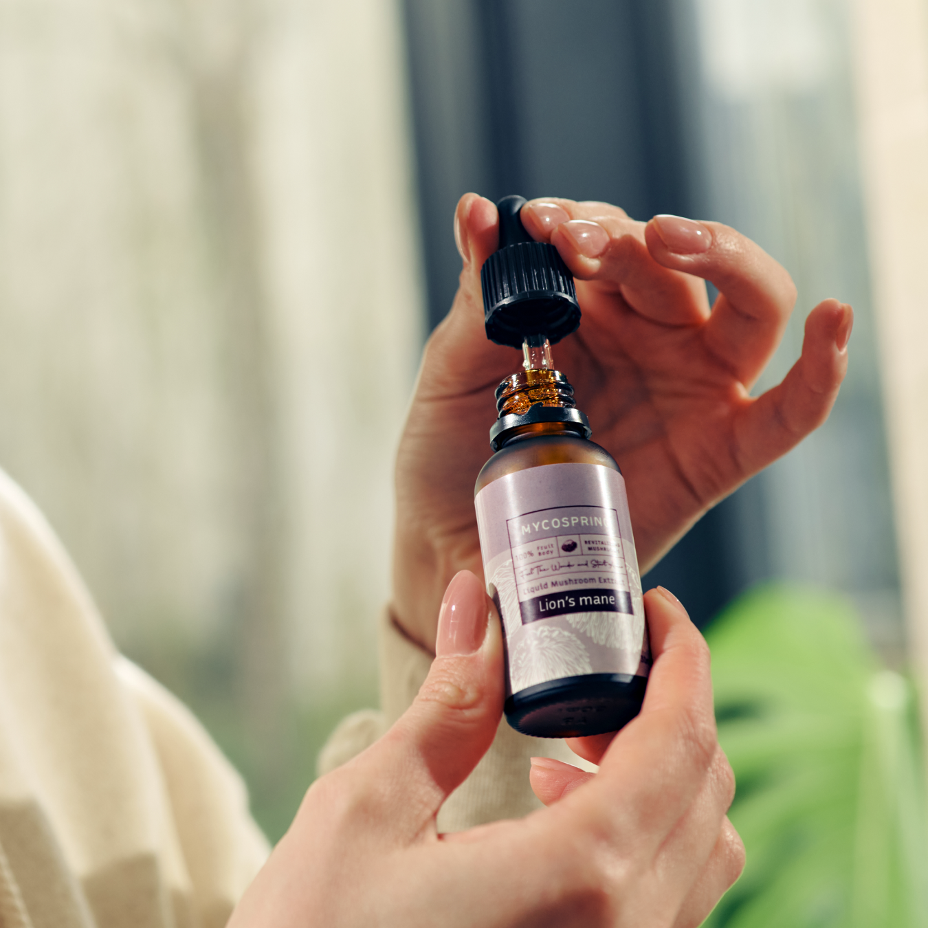 Mycospring Mushroom Extracts