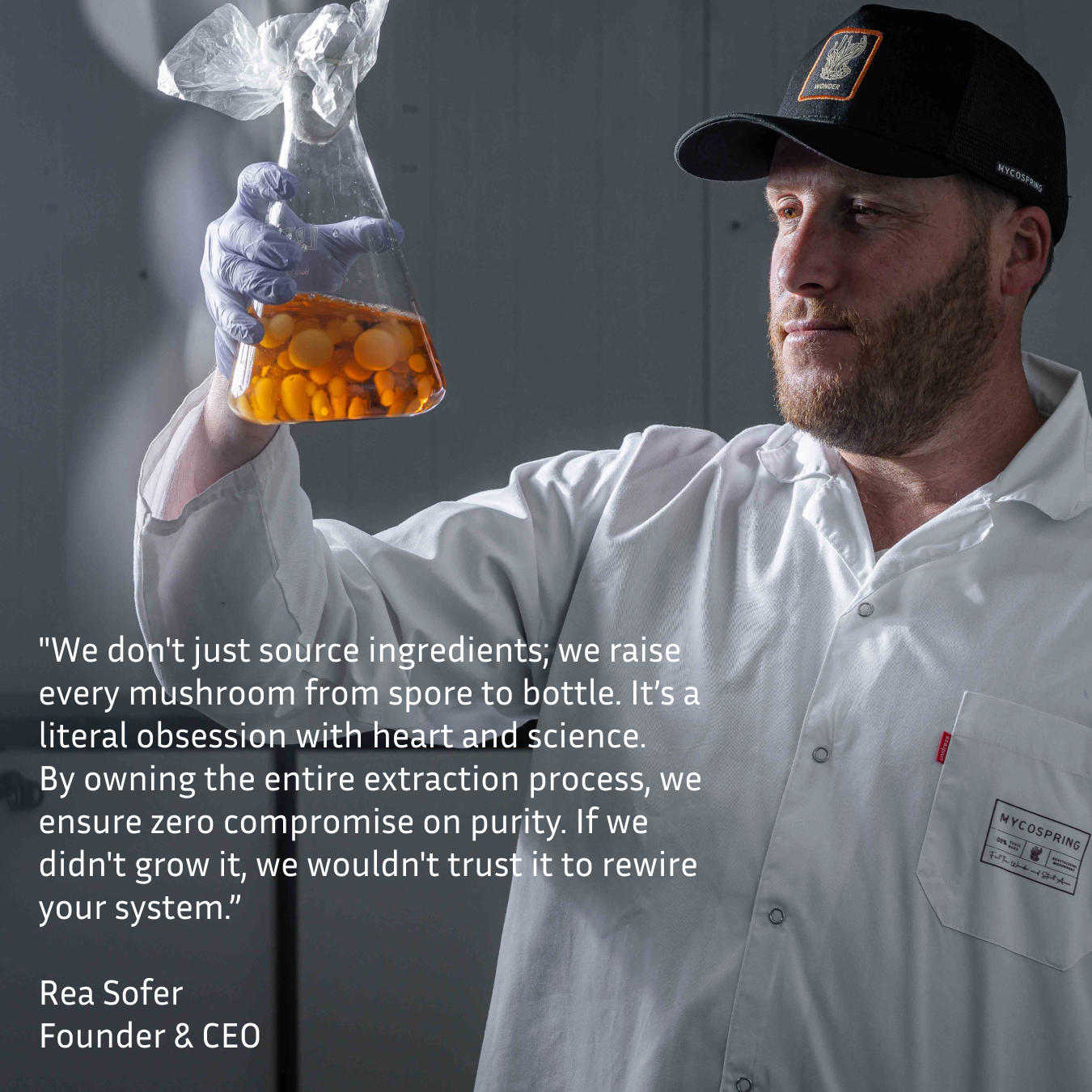 Mycospring Mushroom Extracts