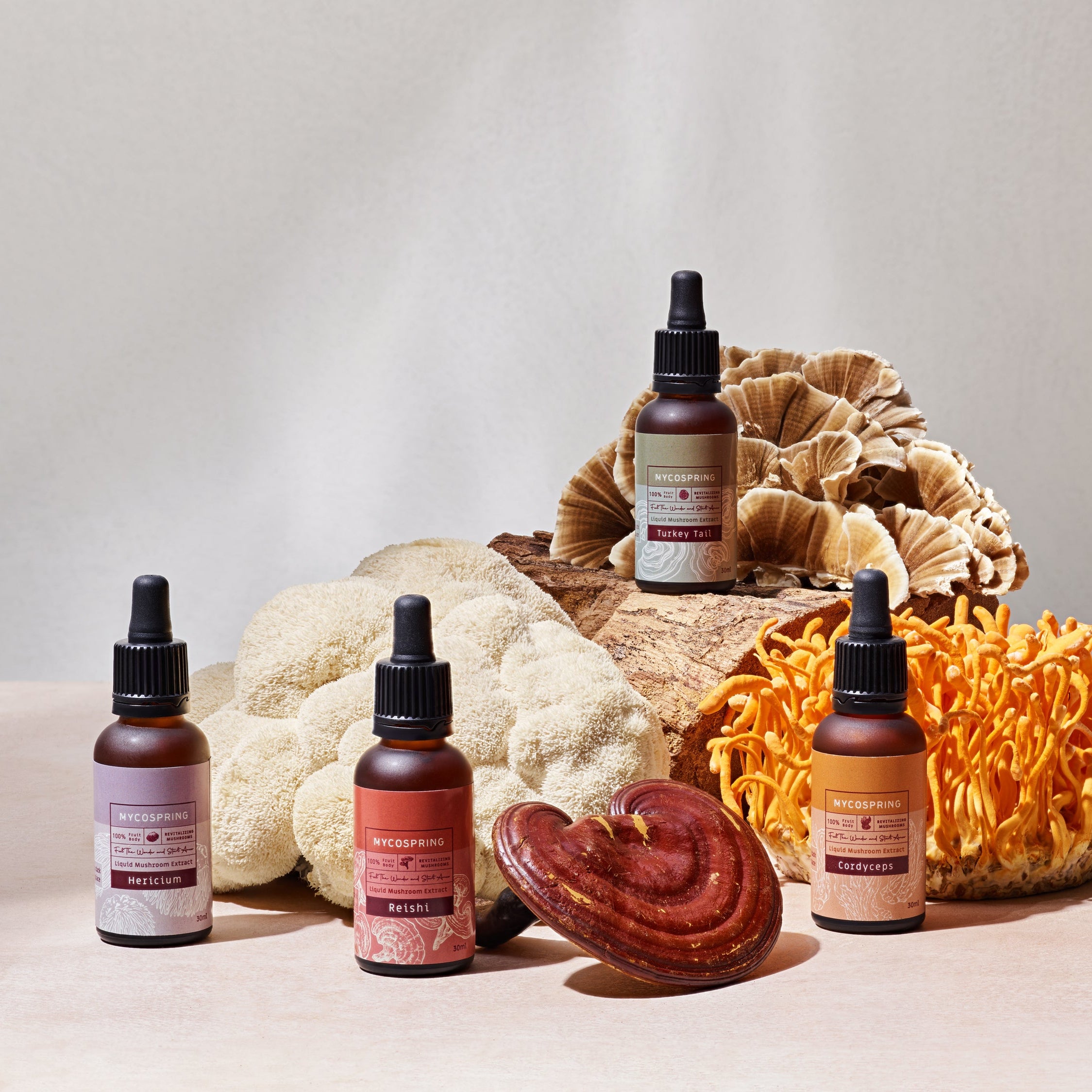 MycoSpring